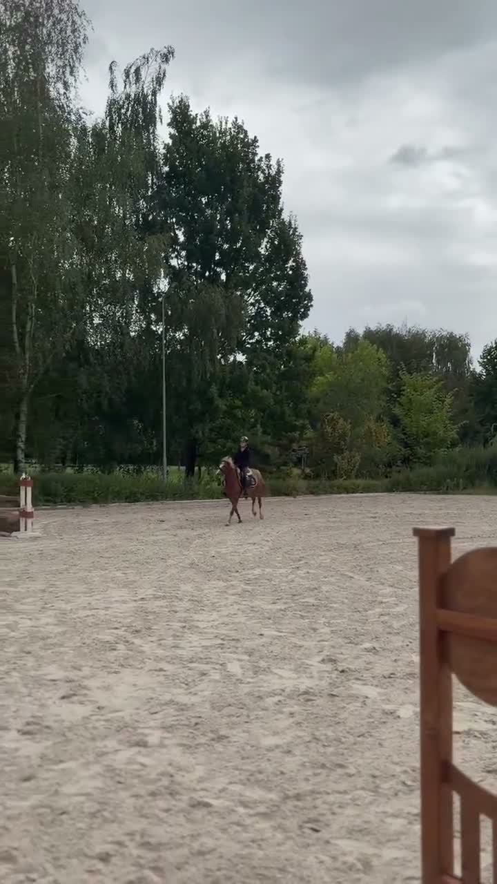 Hoppning hästar till salu: Top jumping pony! C-group - Video 3