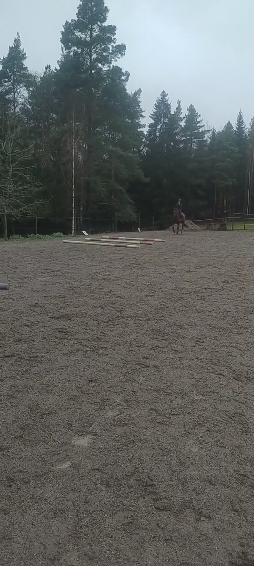 Allround hästar till salu: Stabil ponny i Björnlunda - Video 1