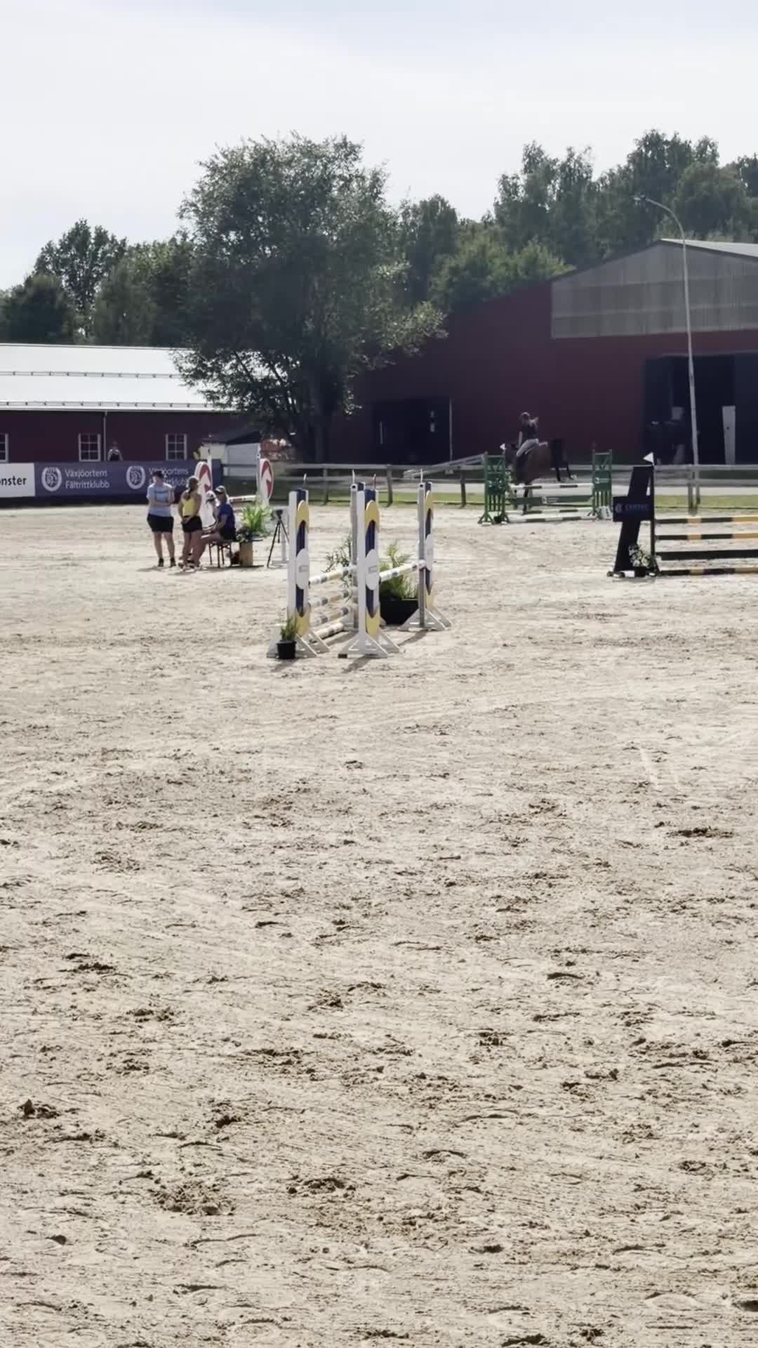 Hoppning hästar till salu: Härligt hoppsto🌟 - Video 1