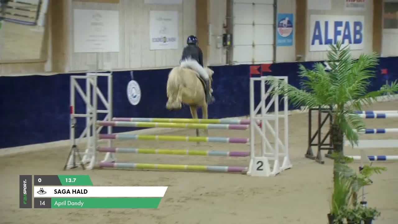 Hoppning hästar till salu: Rosettplockare till salu i Umeå - Video 3