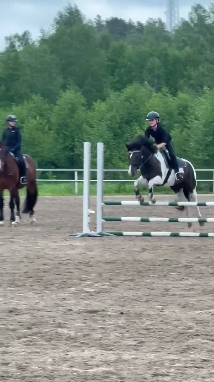  medryttarhäst sökes: Sökes medryttarhäst nära Norrtälje  i Norrtälje - Video 1