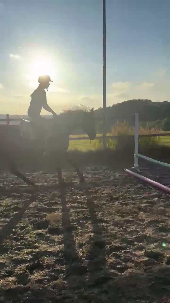  medryttarhäst sökes: Sökes medryttarhäst  i Gråbo - Video 2