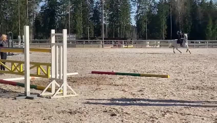 Hoppning hästar till salu: Stjärnponnyn söker sitt nya hem 💖 - Video 3