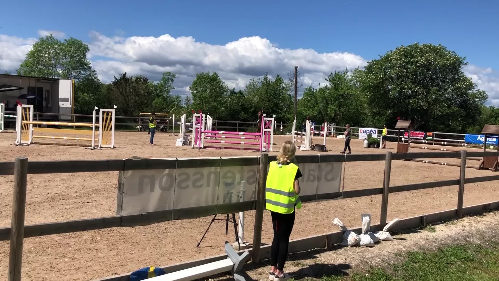 Allround hästar till salu: Snäll, fin valack med stark personlighet i Kalmar - Video 1
