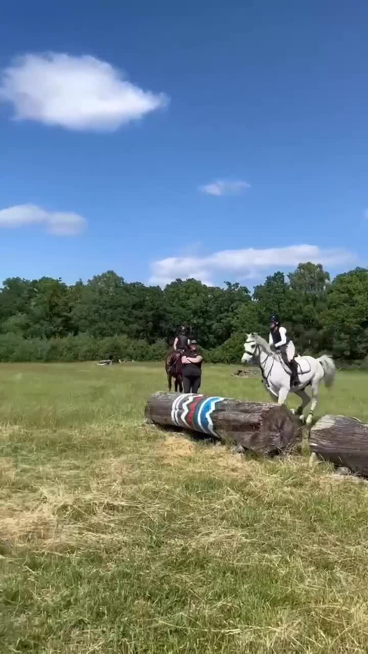Allround hästar till salu: Snygg C-ponny till aktivt hem som lyxig hobbyhäst - Video 3