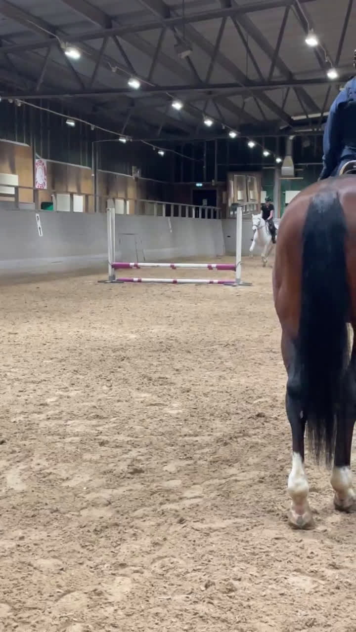 Allround hästar till salu: Välriden och charmig maxad D-ponny  - Video 5