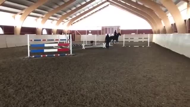 Allround hästar till salu: Fin stor känslig kille  - Video 1