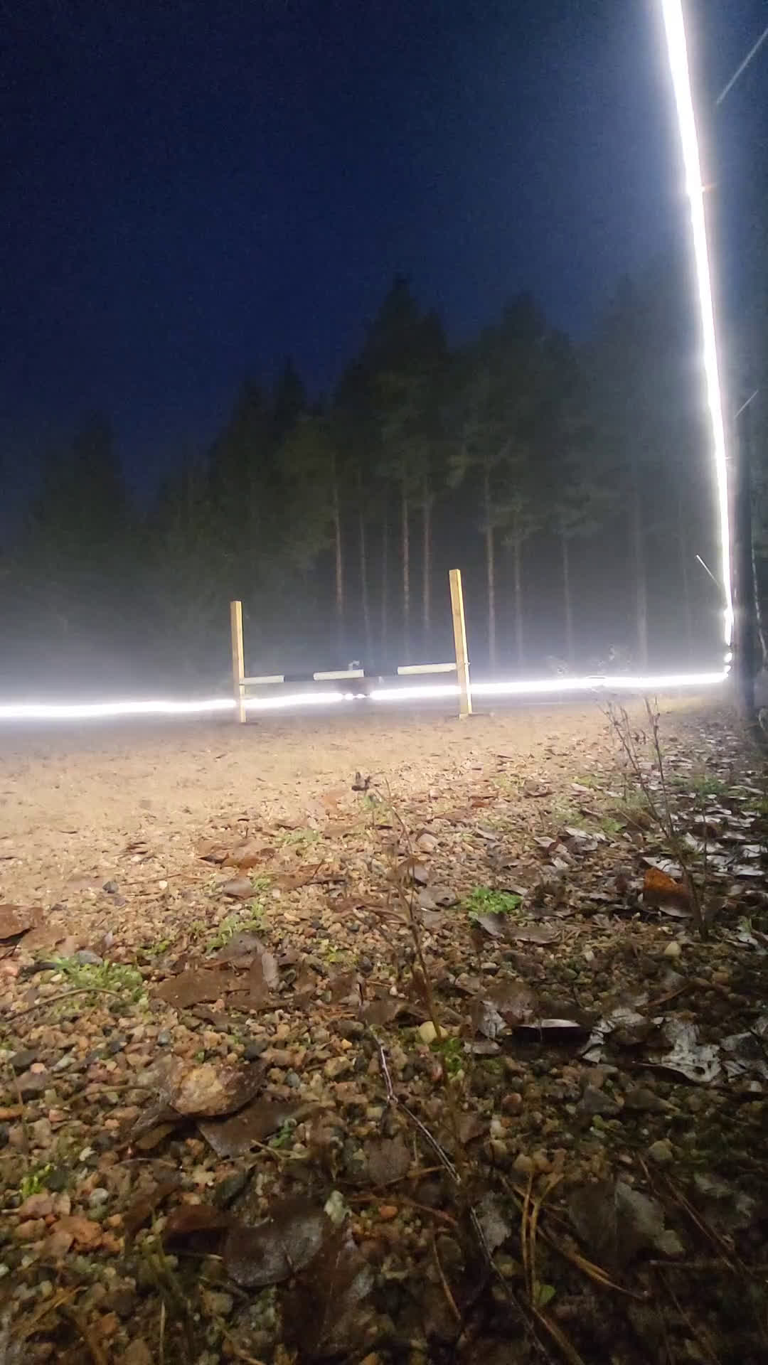 Allround hästar till salu: Intressekoll! Scilla söker sin nya lilla ryttare❤️ i Ljungsbro - Video 1