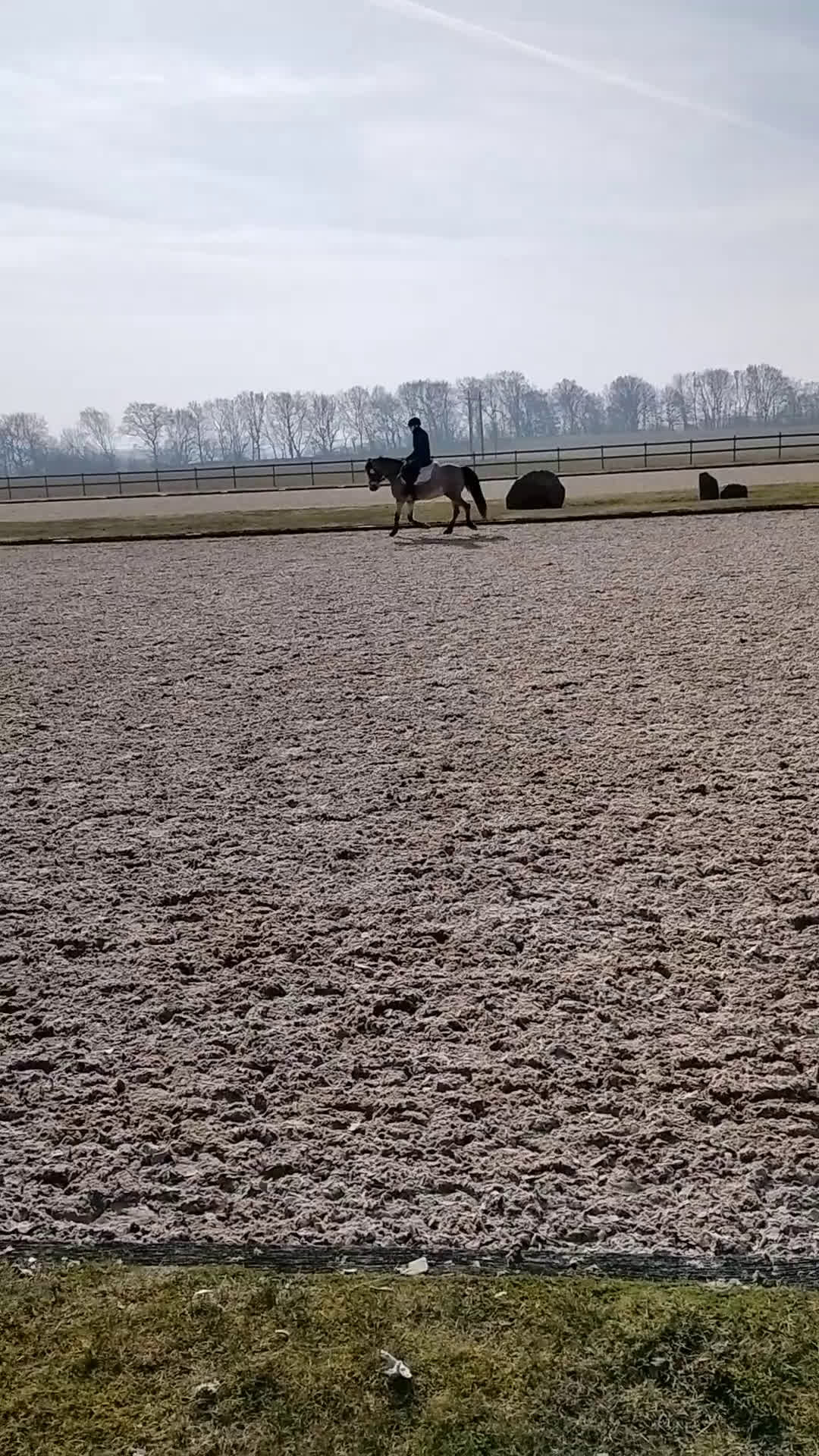 Allround hästar till salu: Maxad b-ponny - Video 1