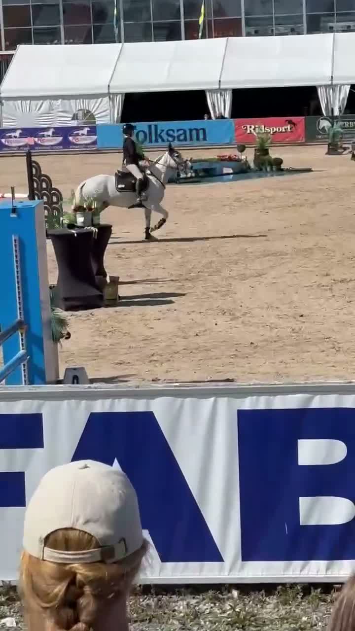 Hoppning hästar till salu: 🌟Häftig ponny🌟 - Video 4