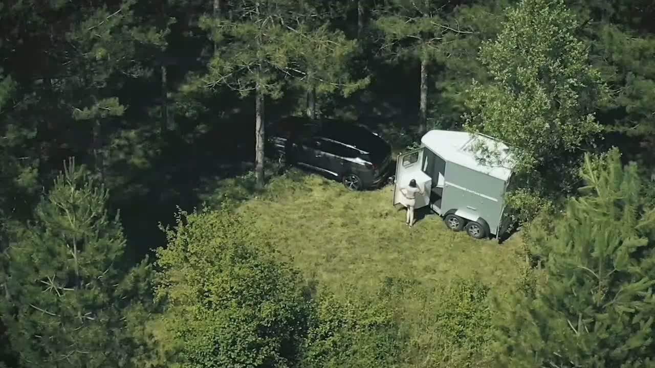Hästtransporter  fordon & transport till salu: Fautras Promax- AidSystem och två sadelskåp - Video 1