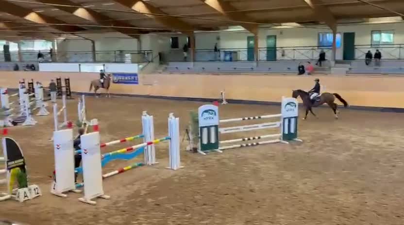 Hoppning hästar till salu: Snygg och trevlig 8åring valack  i Mörarp - Video 1