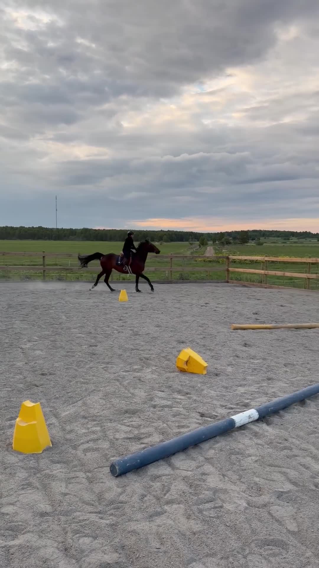 Allround hästar till salu: Bästa vän till rutinerad ryttare i Rimbo - Video 1