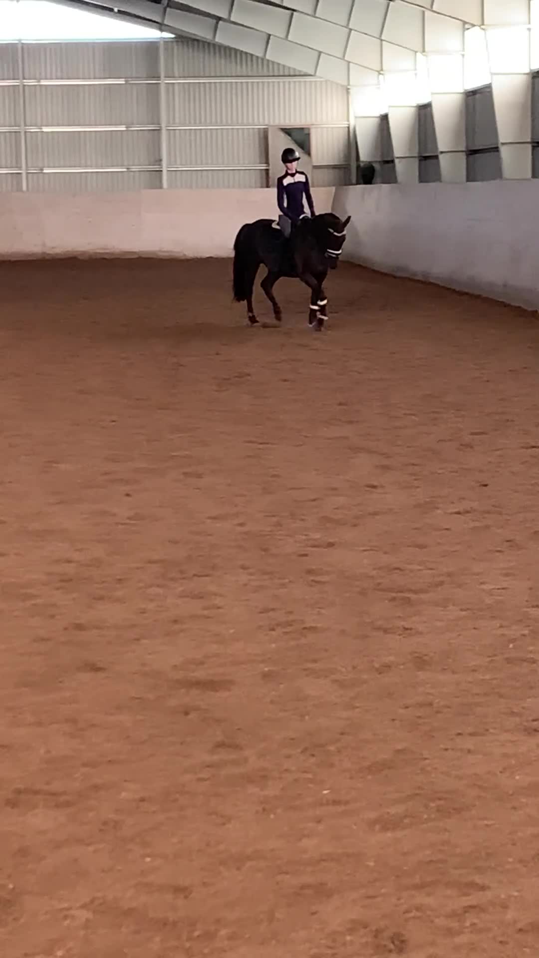 Allround hästar till salu: Fin D-ponny söker nytt hem i Götene - Video 1