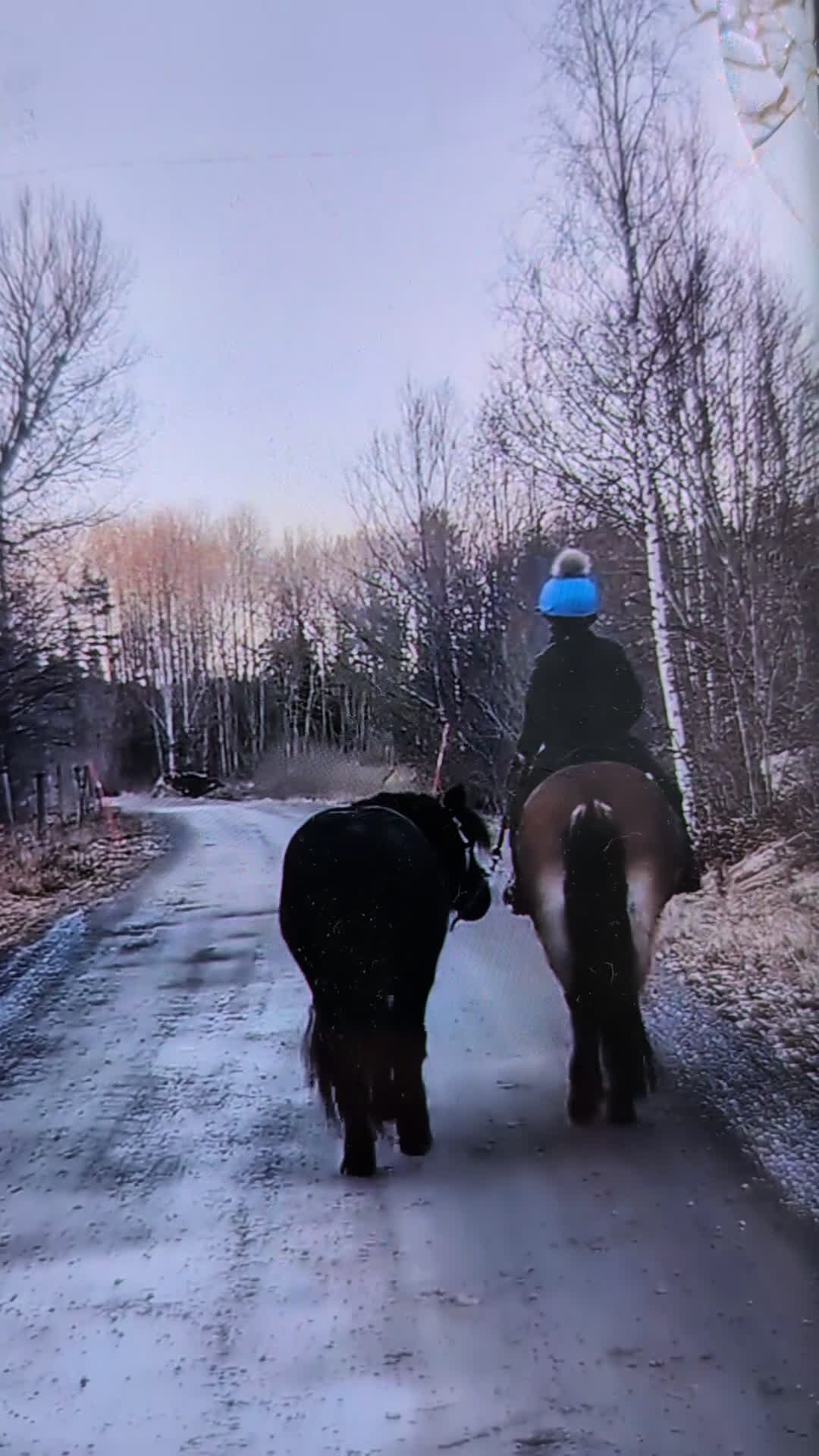 Allround hästar till salu: Charmig ponny i Torshälla - Video 1