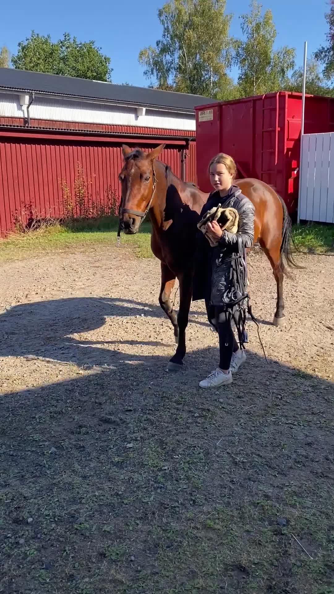 Dressyr hästar till salu: 🌟En bästa vän🌟 - Video 4