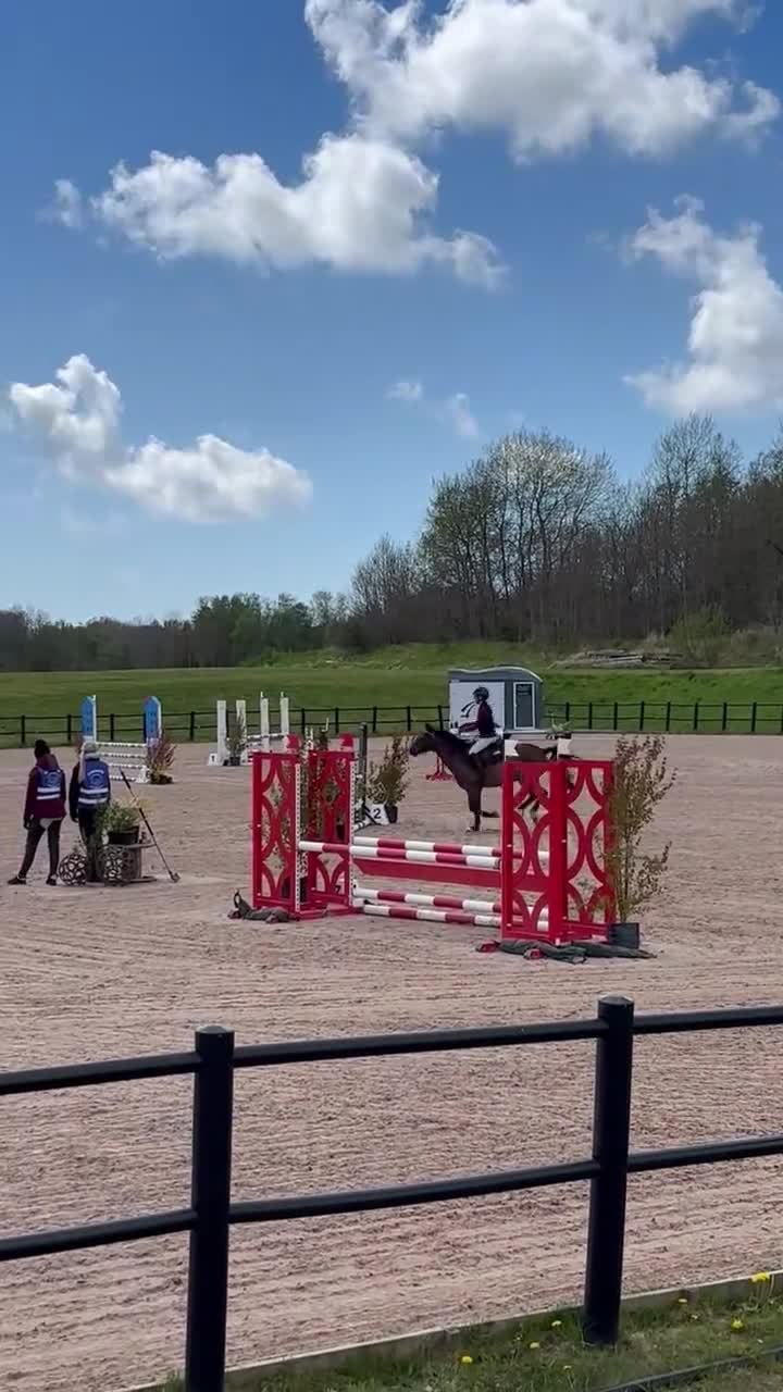 Allround hästar till salu: Ponny med utstrålning och personlighet  - Video 1