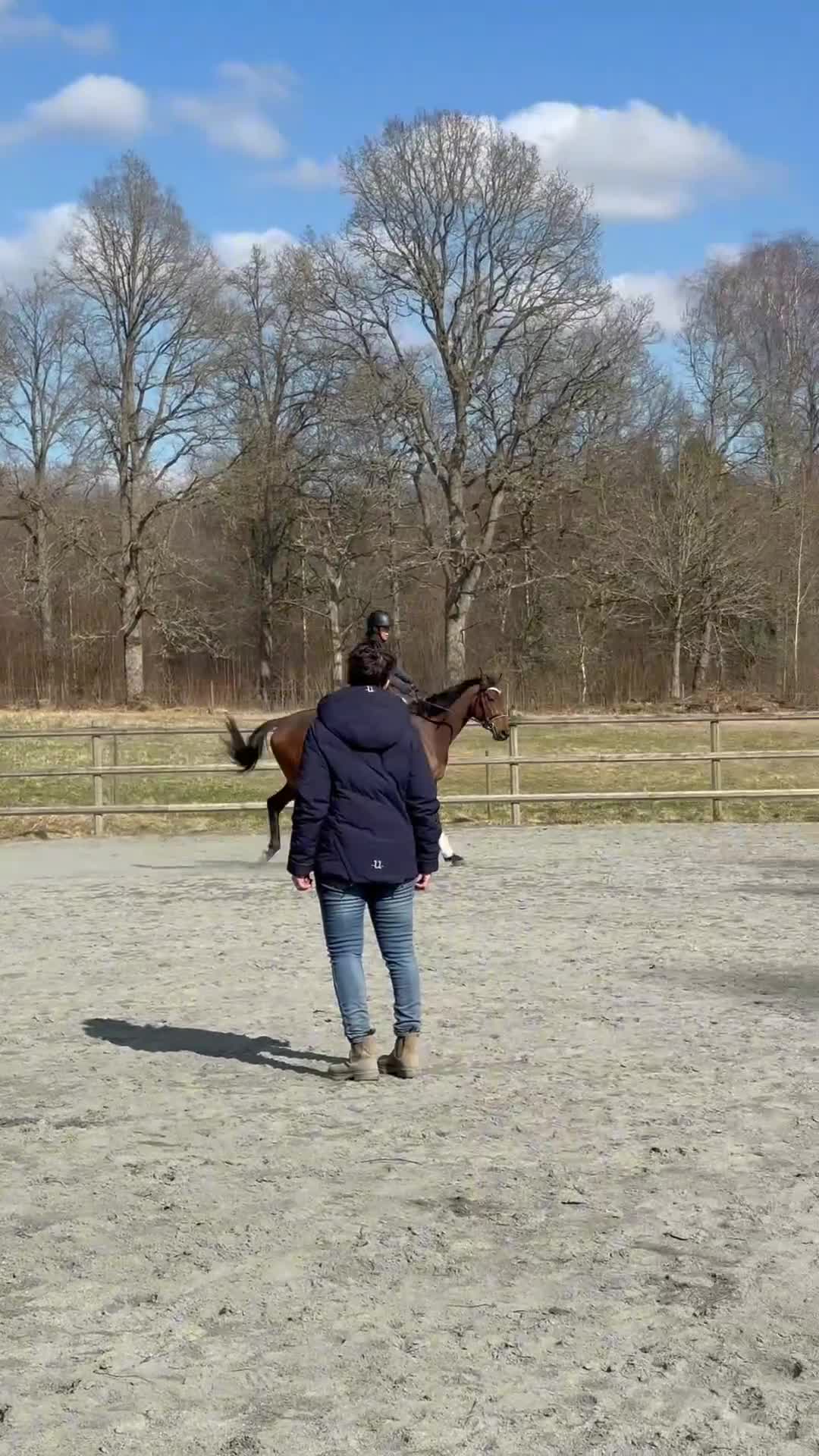 Allround hästar till salu: Lovande 4årig fullblodssto söker sitt framtida hem - Video 4
