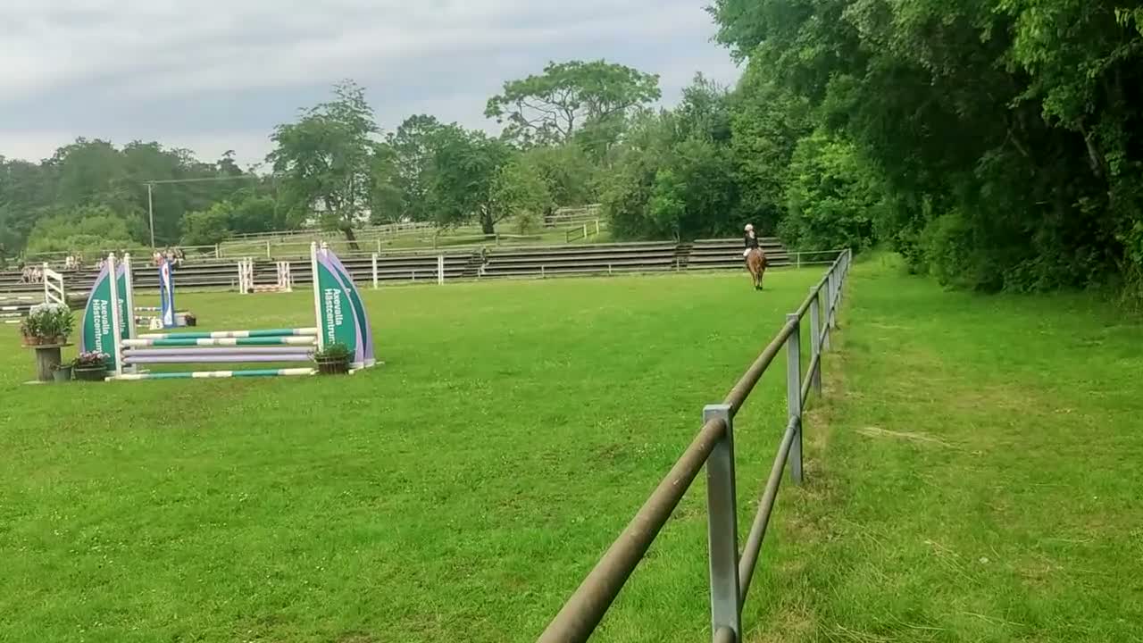 Allround hästar till salu: Snäll första ponny för tävling/kompis i skogen.  i Västra Tunhem - Video 1