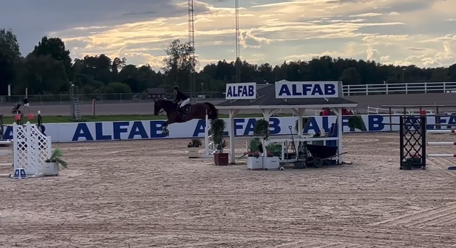 Hoppning hästar till salu: Snygg och modig hopphäst!! - Video 1