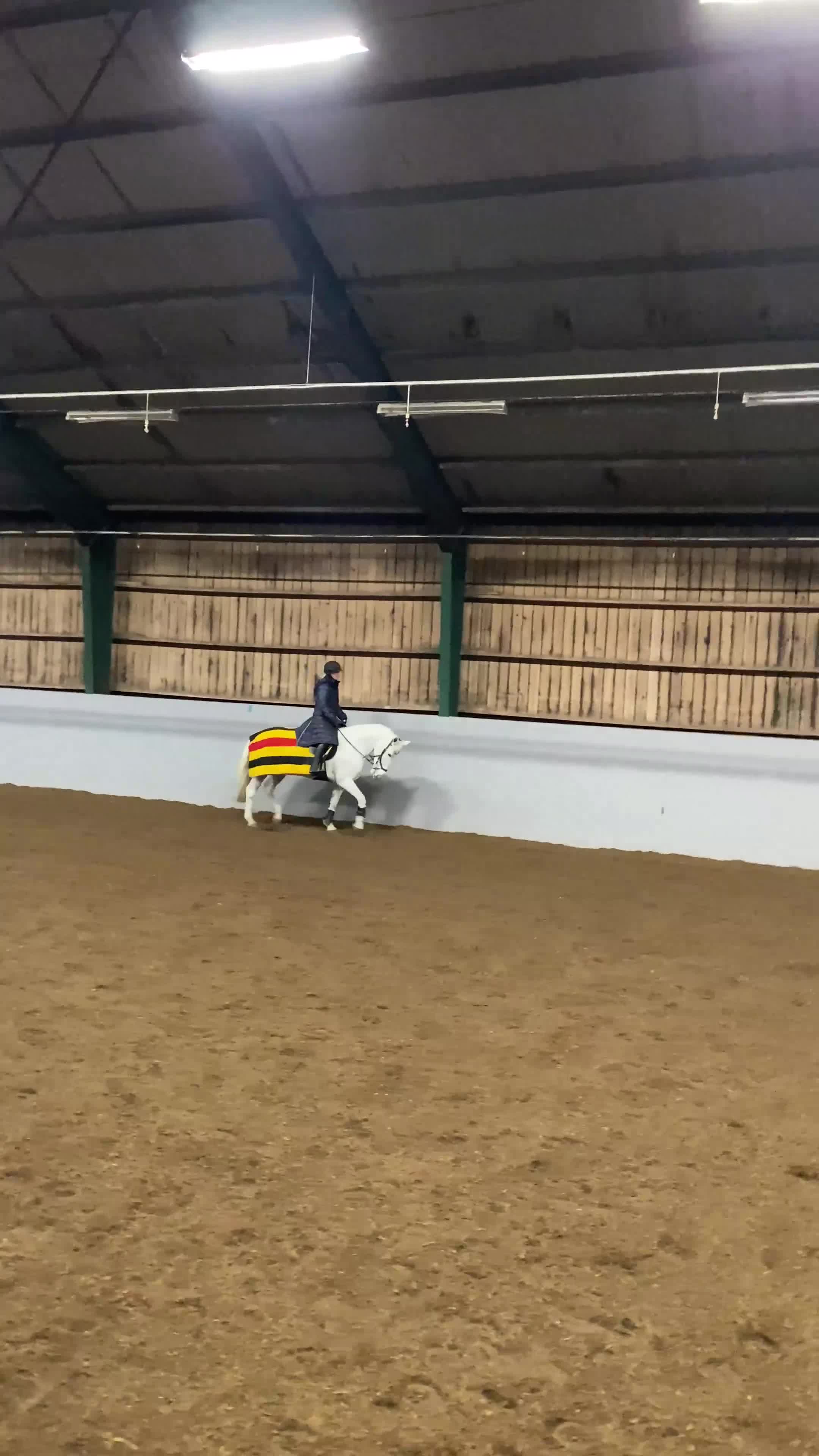 Hoppning hästar till salu: Rutinerad tävlingsponny - Video 1