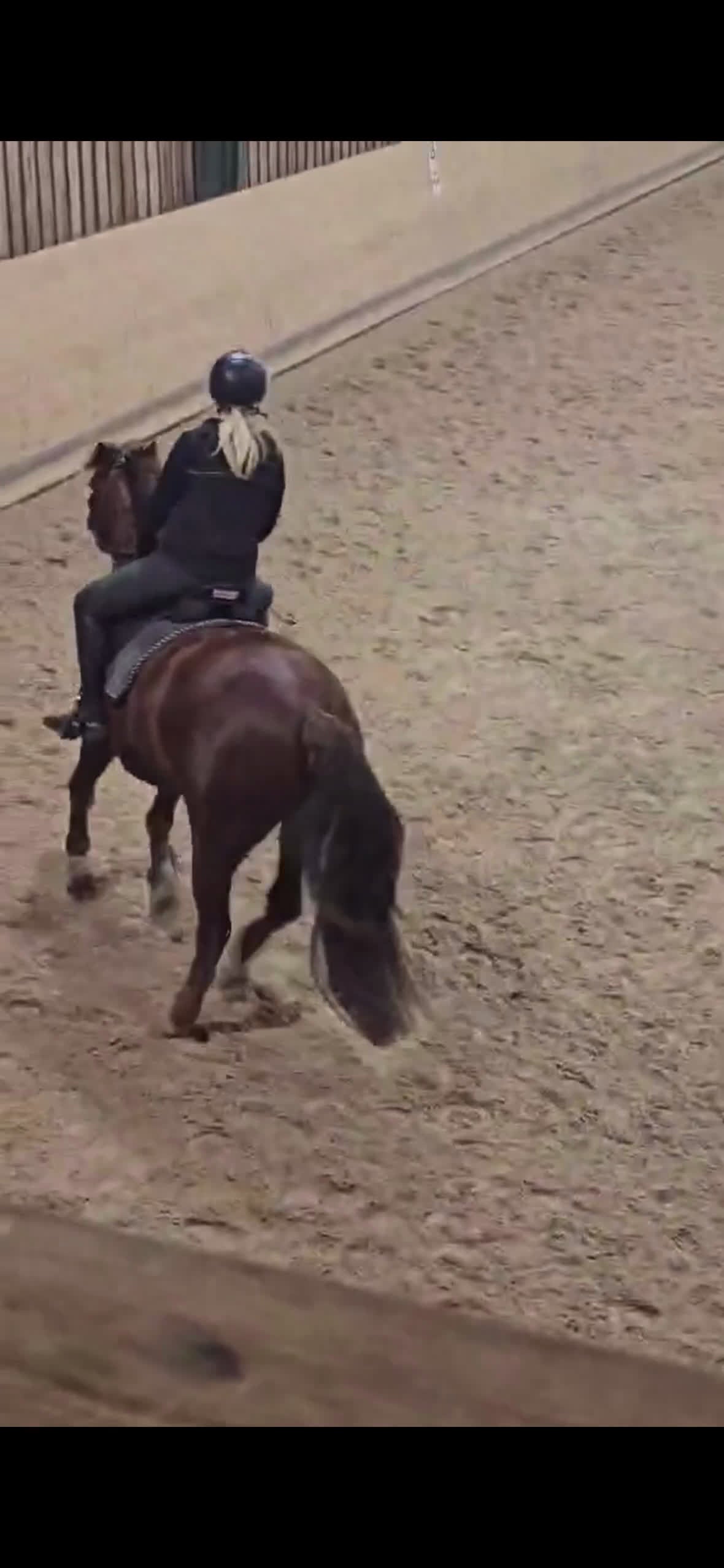  foderhäst sökes: Söker Foderhäst! - Video 1