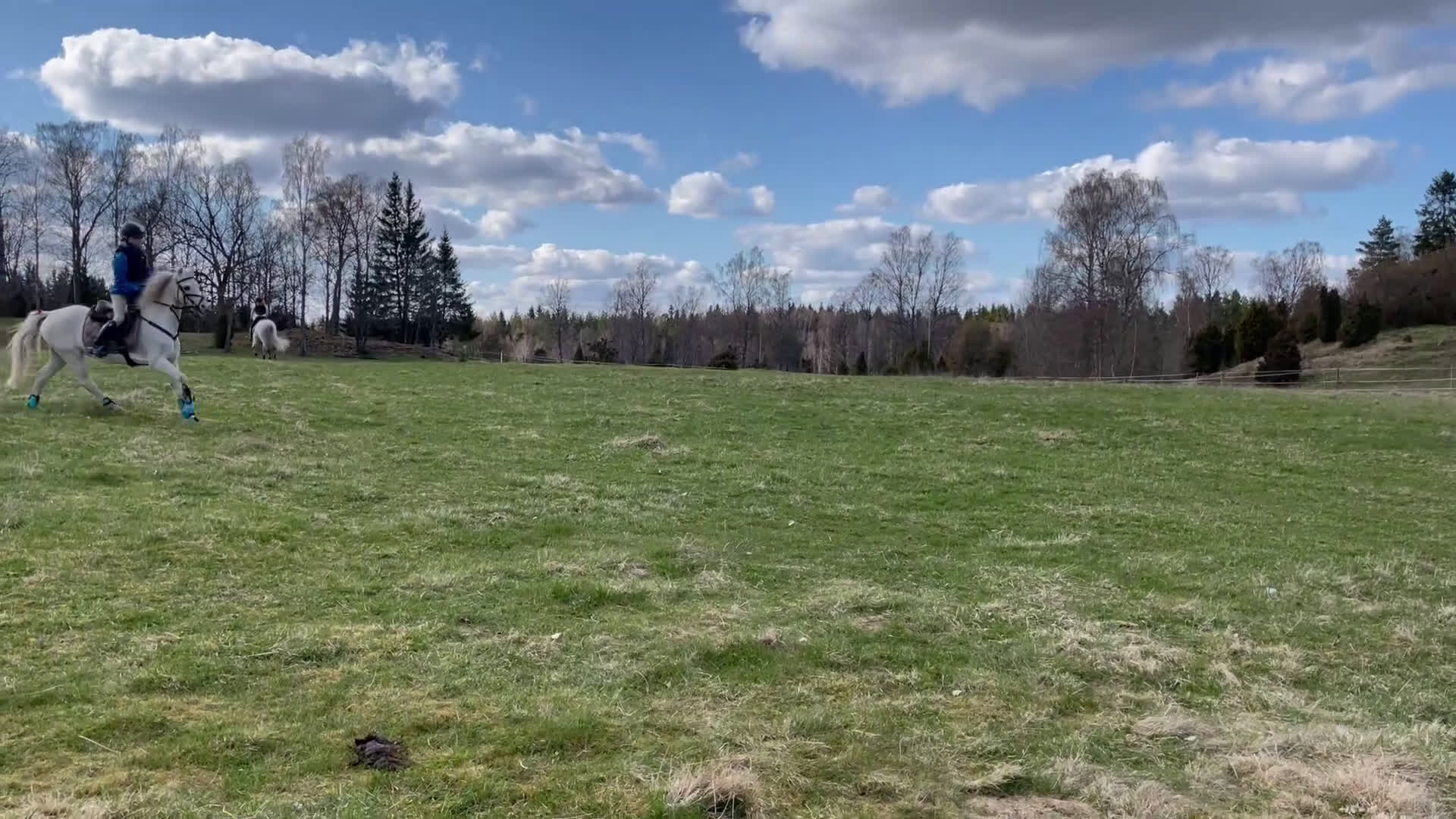 Allround hästar till salu: Allsidig ponny  i Lerum - Video 3