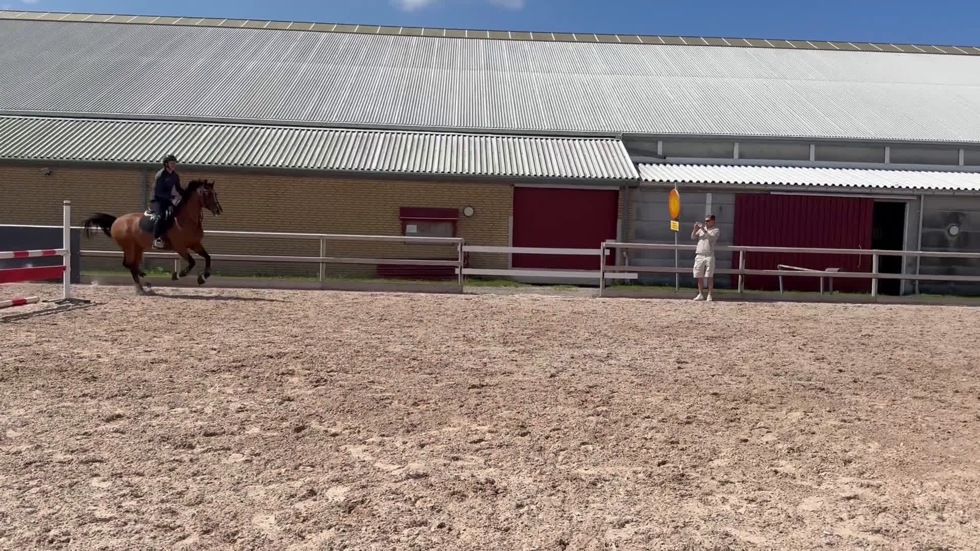 Allround hästar till salu: Världens bästa vän i Vellinge - Video 2