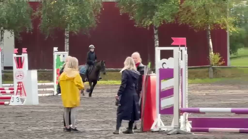 Allround hästar till salu: Trygg ponny för framtiden! - Video 1