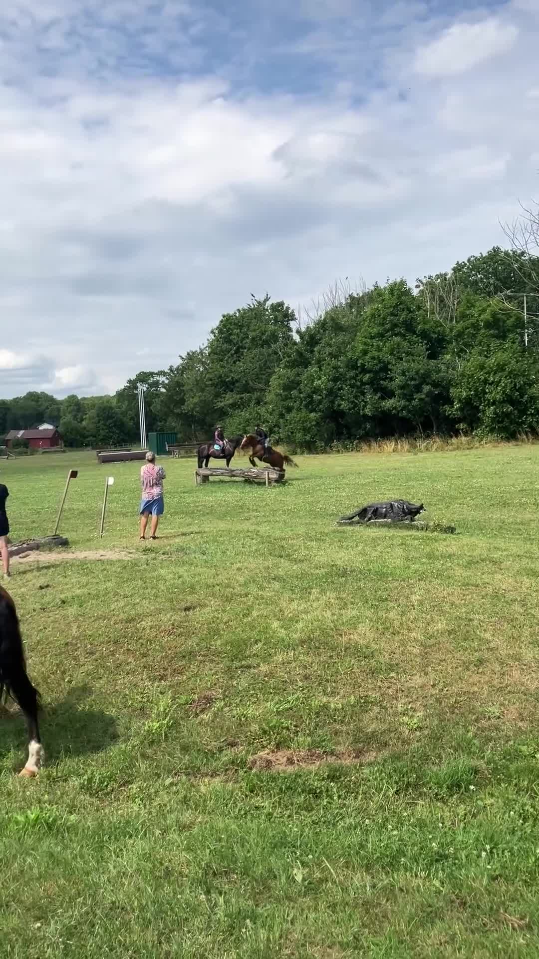 Allround hästar till salu: ⭐️Snäll C-ponny Allround⭐️ - Video 1