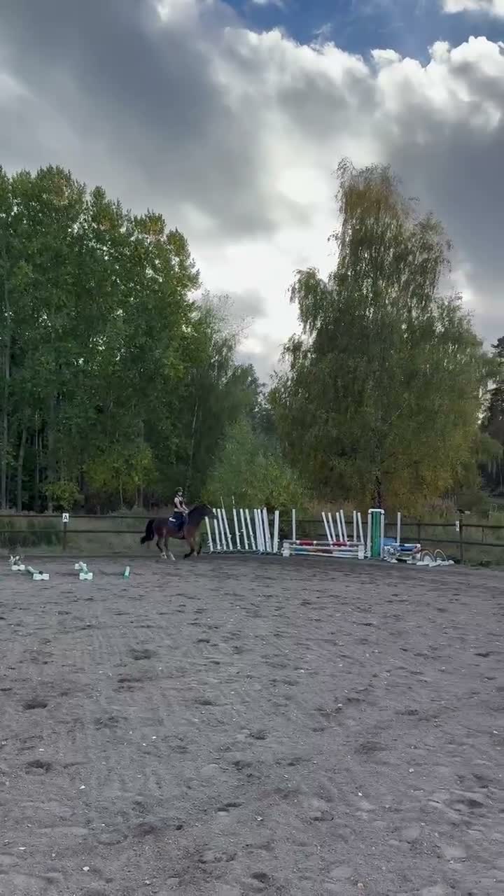  medryttarhäst finnes: Medryttare sökes till kallblod - Video 1