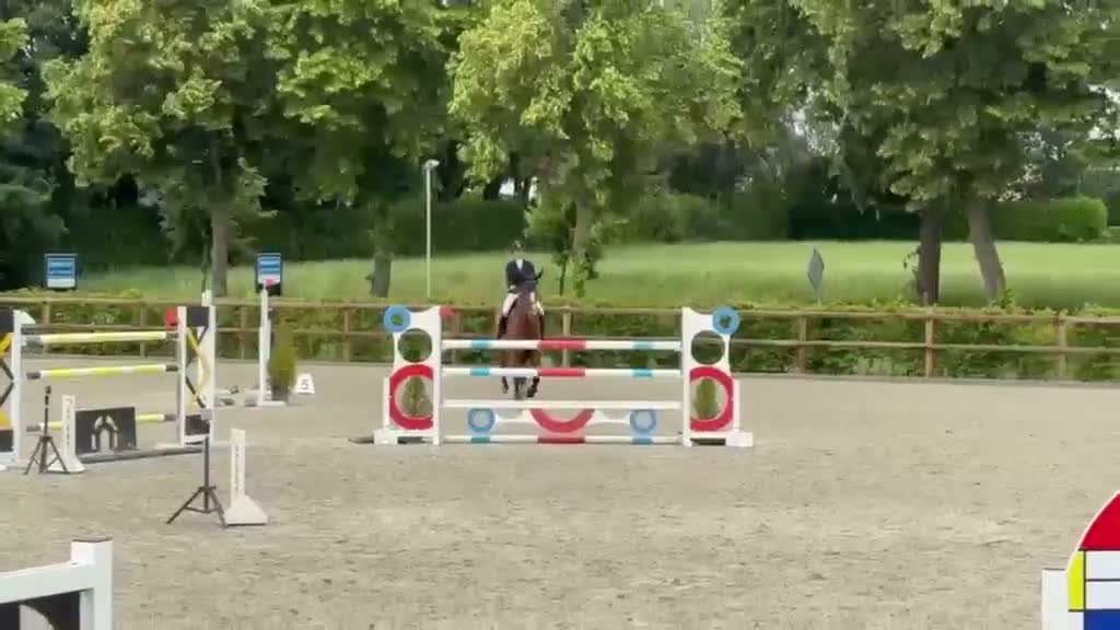 Hoppning hästar till salu: Tävlingssto med stort hjärta och kapacitet i Västerås - Video 3
