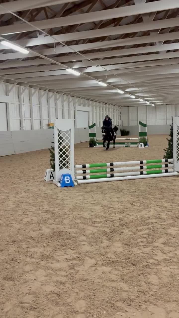 Allround hästar till salu: Trygg allroundponny söker sin nya bästa vän i Huskvarna - Video 2