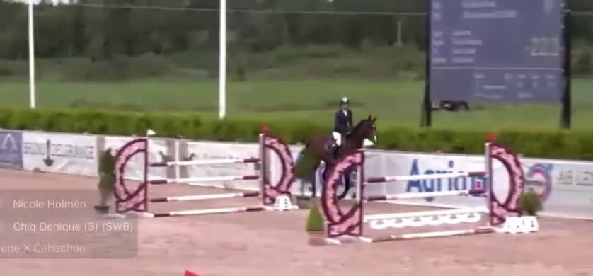 Hoppning hästar till salu: Okomplicerad storhäst i Tomelilla - Video 3