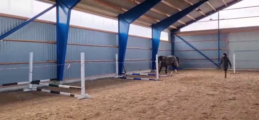 Hoppning hästar till salu: 2 årig valack i Enköping - Video 2