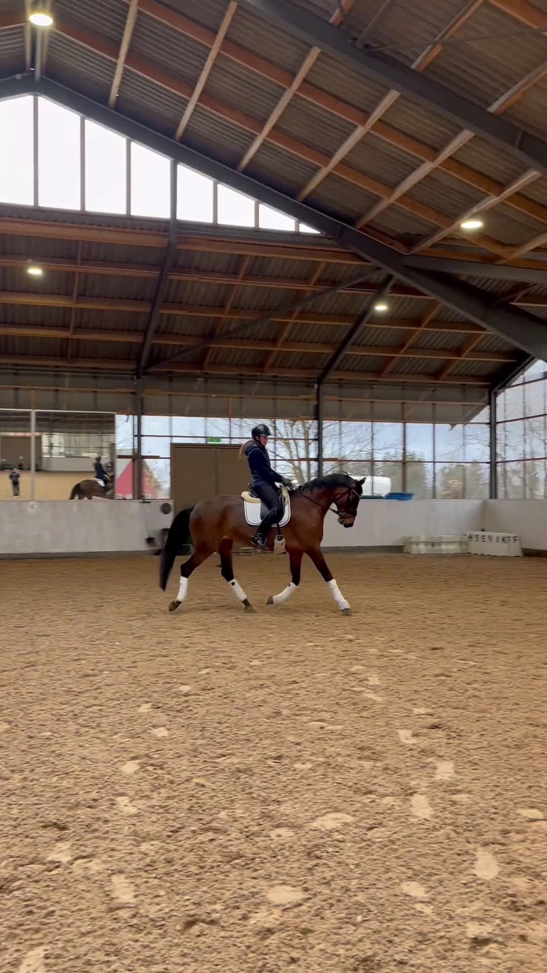 Dressyr hästar till salu: Lovande dressyrsto i Flyinge - Video 1