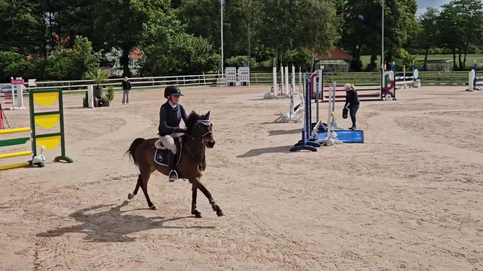 Hoppning hästar till salu: Vår b-ponny era håller på att ta slut.... i Varberg - Video 2