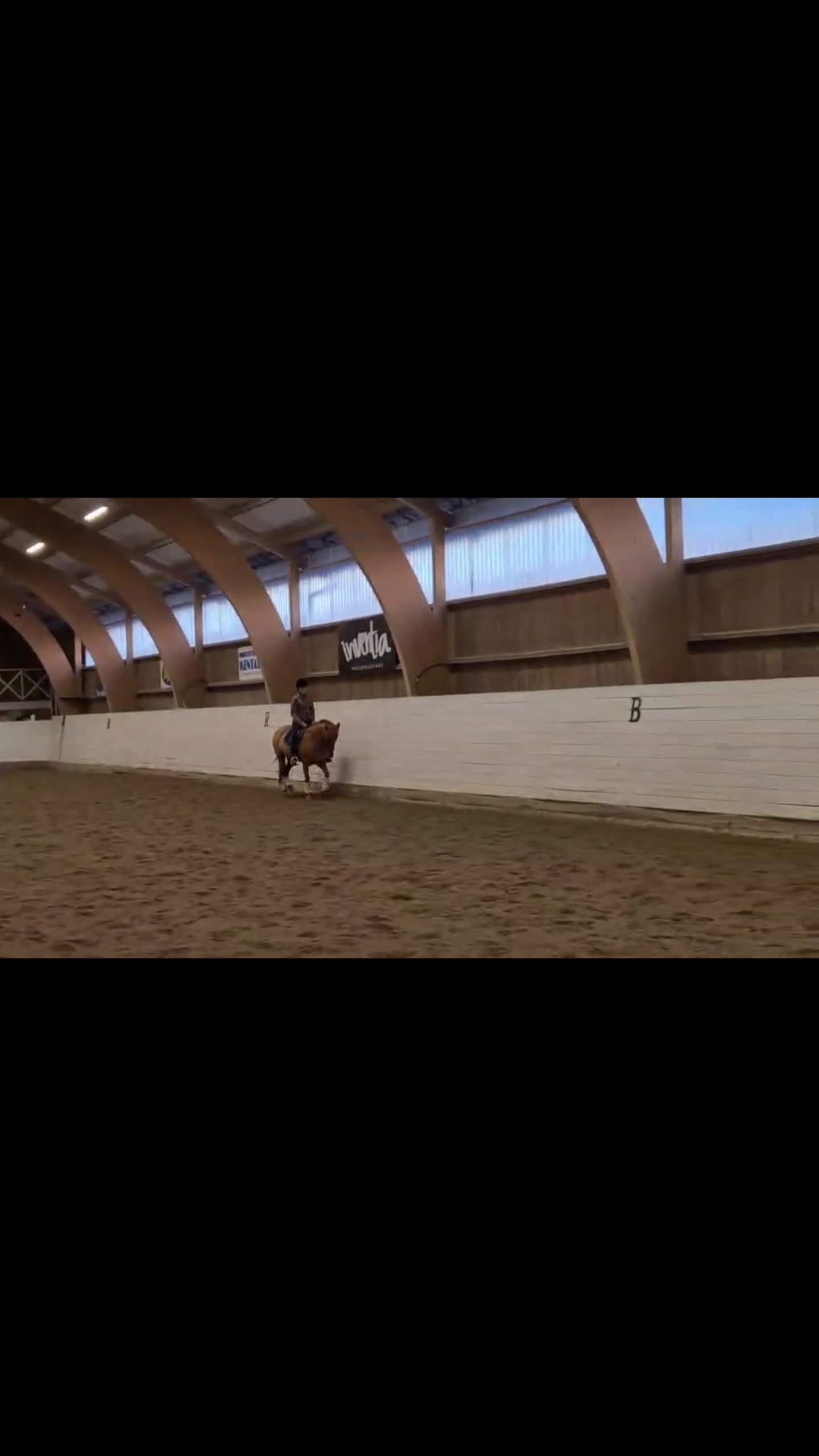 Dressyr hästar till salu: Supermaxad läromästare med hög ridbarhet i Värmdö - Video 4