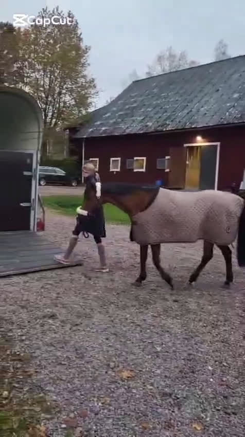 Dressyr hästar till salu: Fantastisk läromästare i Mjölby - Video 2