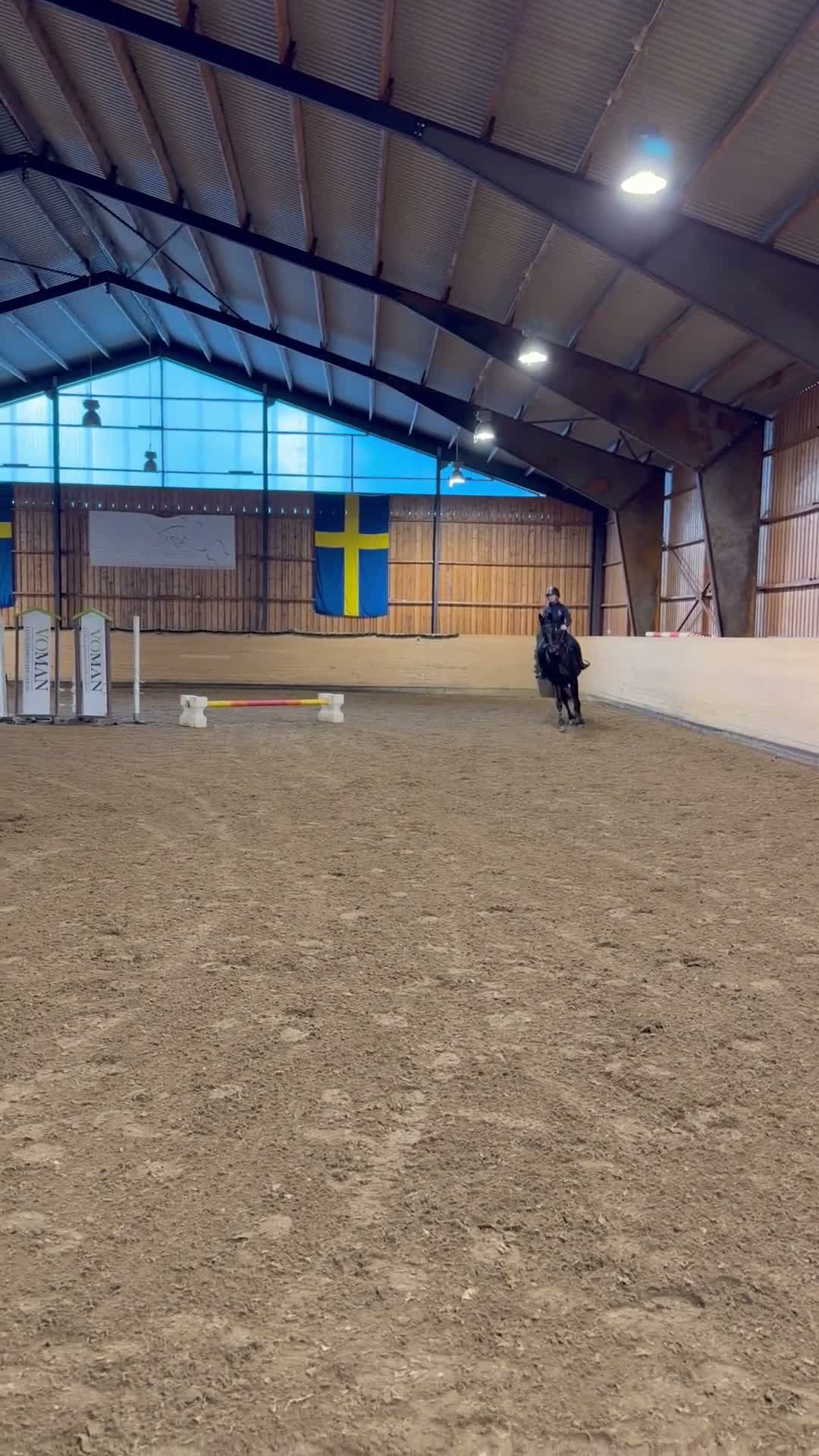 Allround hästar till salu: Underbar häst med största hjärtat!🌸 - Video 2