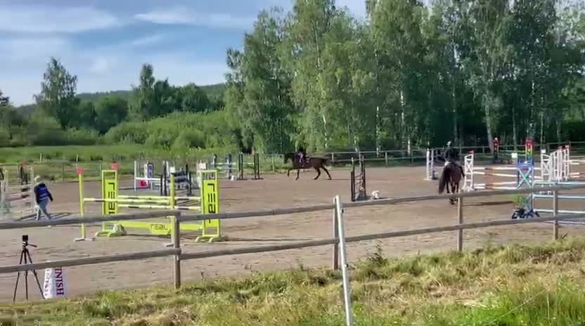Hoppning hästar till salu: Resultatsäker hopphäst med stort scoop och hjärta - Video 1
