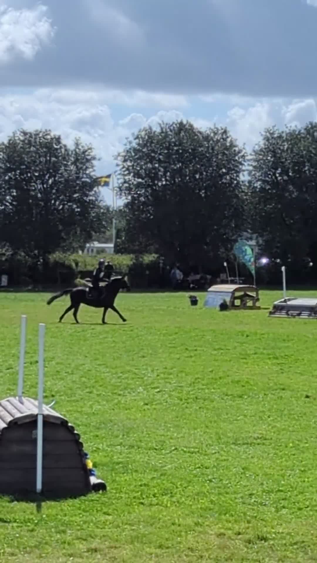 Allround hästar till salu: Rolig tränings och tävlingskompis! - Video 2