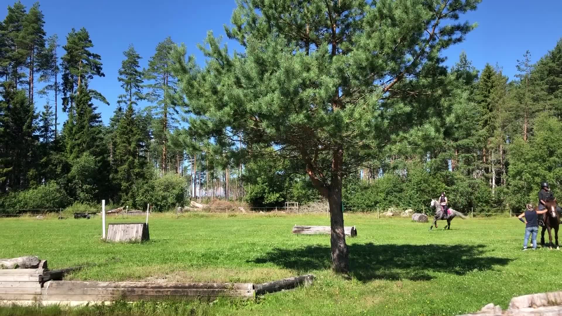Allround hästar till salu: Läromästare allround i Mullhyttan - Video 2