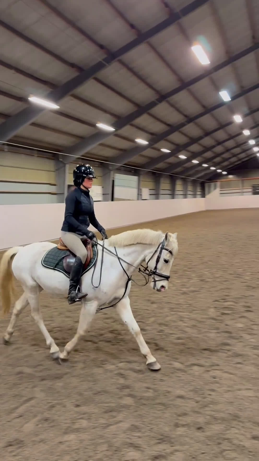 Allround hästar till salu: D- ponny med storhäst känsla till salu‼️ - Video 4