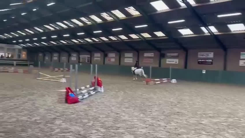 Allround hästar till salu: Drömponny i Sundsvall - Video 2