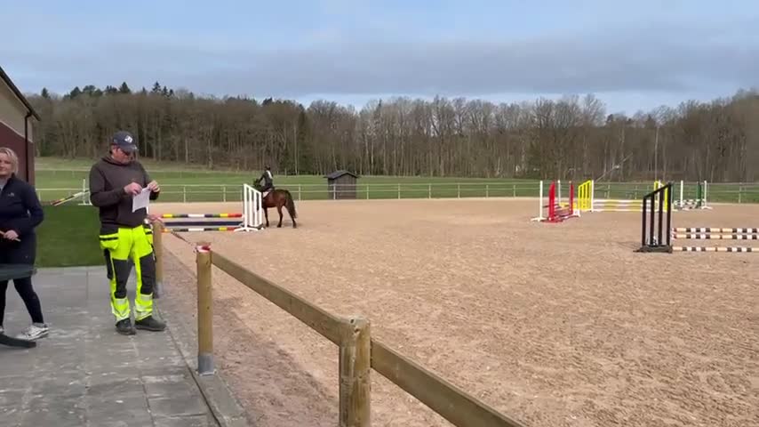Allround hästar till salu: Läromästare med hjärta av guld! ❤️ - Video 1