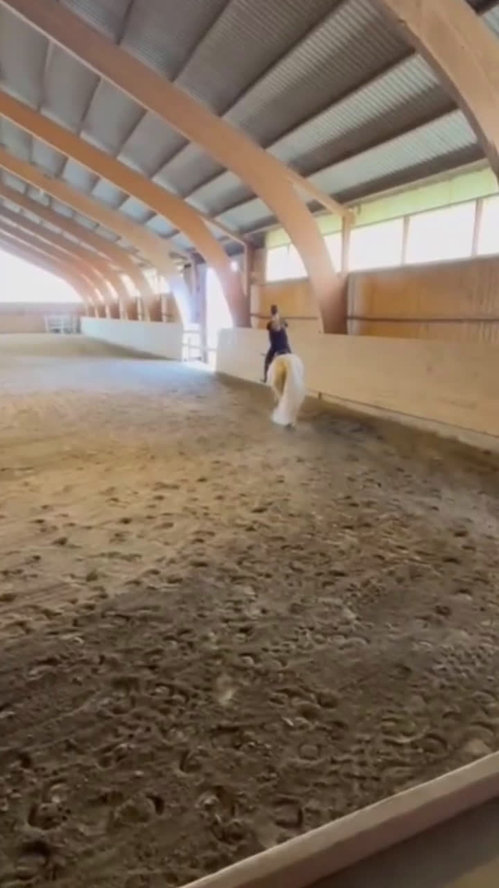 Hoppning hästar till salu: Snäll maxad D-ponny med kapacitet 🦄 - Video 3