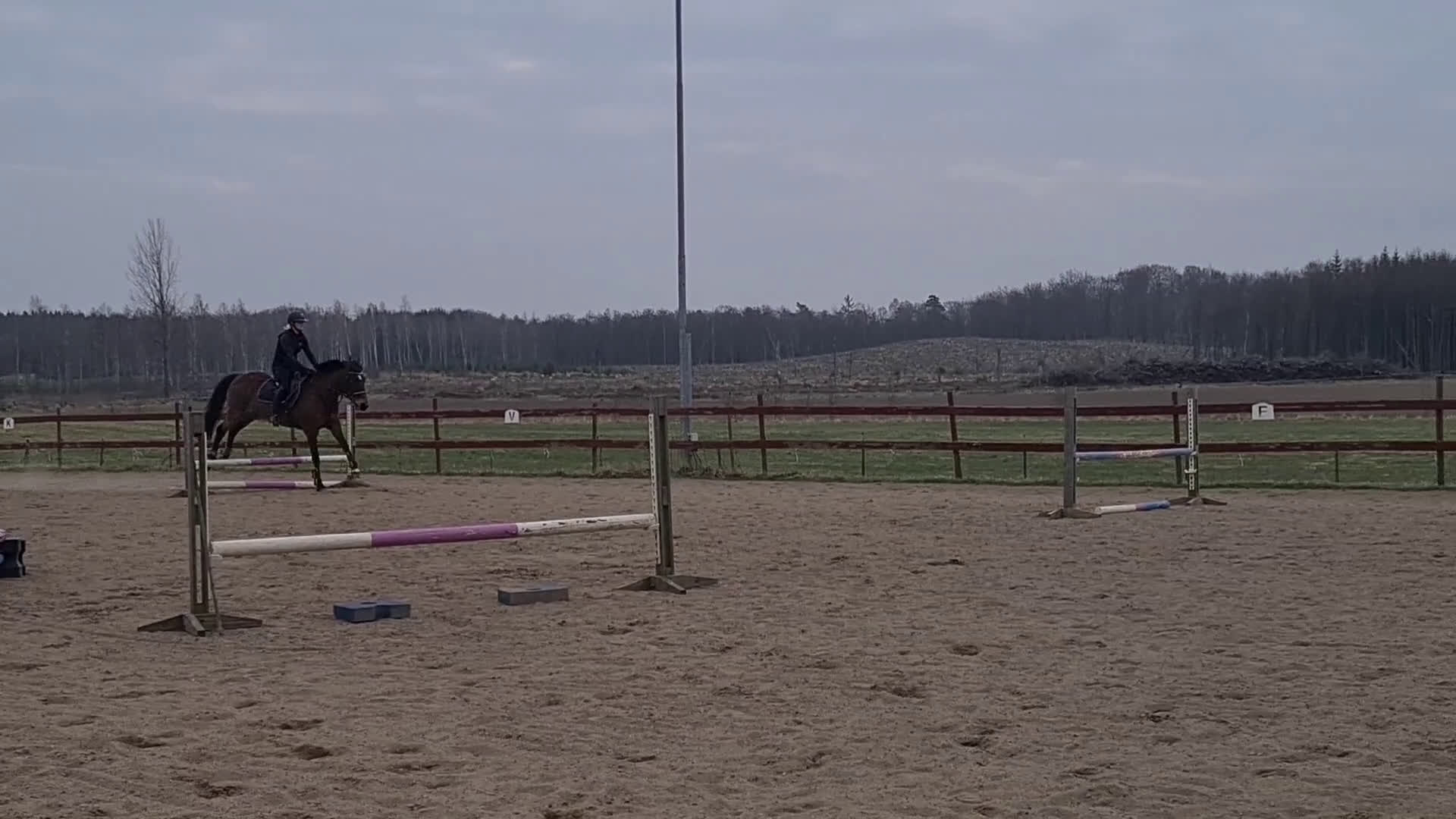 Hoppning hästar till salu: Maxad d-ponny, sto läromästare allround - Video 1