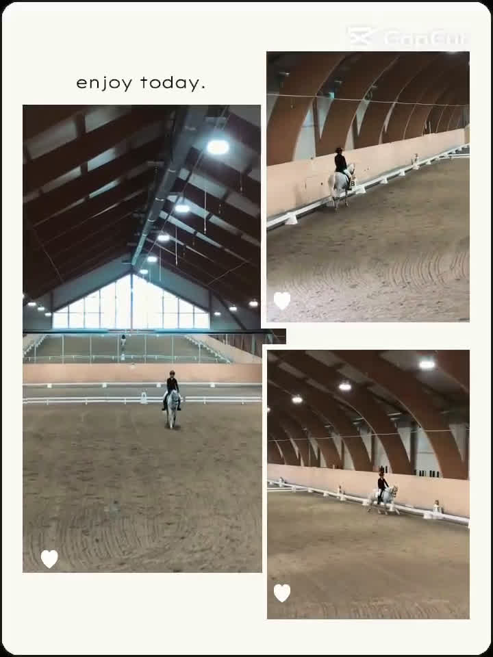 Dressyr hästar till salu: Elegant dressyrponny som även kan hoppa i Sunne - Video 1