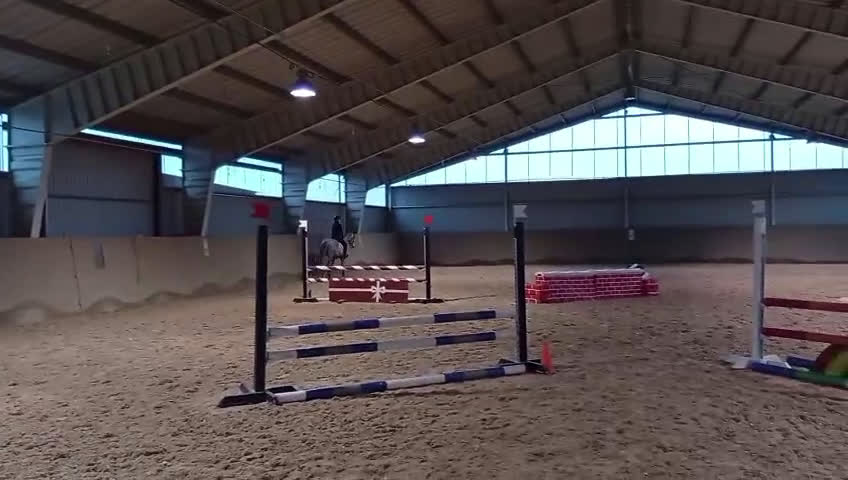 Hoppning hästar till salu: Sto med stor potential  - Video 1